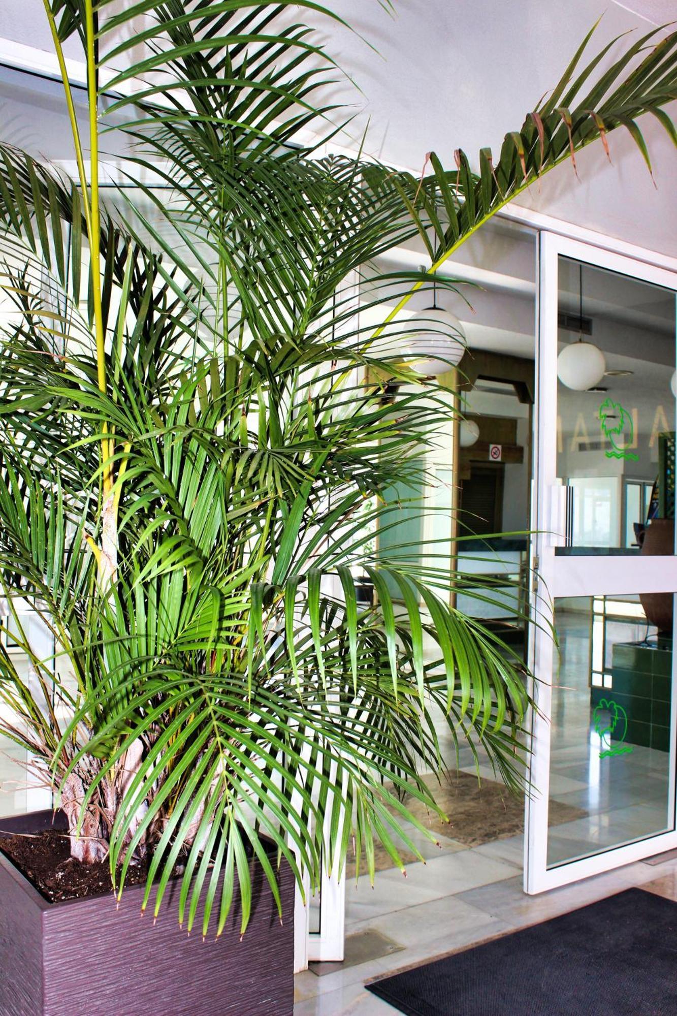 Apartamento Altamira Sunset Costa Adeje  Exterior foto